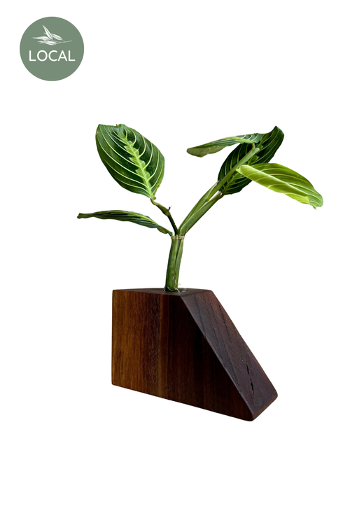 Closed Loop Woodworks Propagation Vase