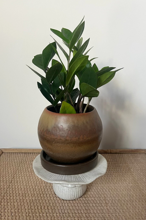 Creative-Coop-Ceramic-Mushroom-Pedestal-Rotund-Pot