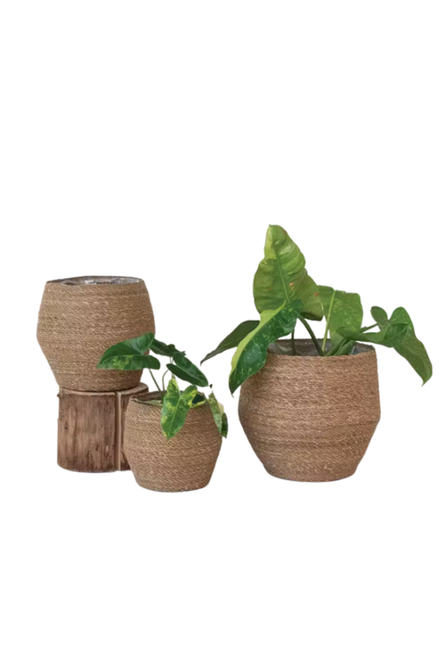 Woven Lined Seagrass Basket Planter