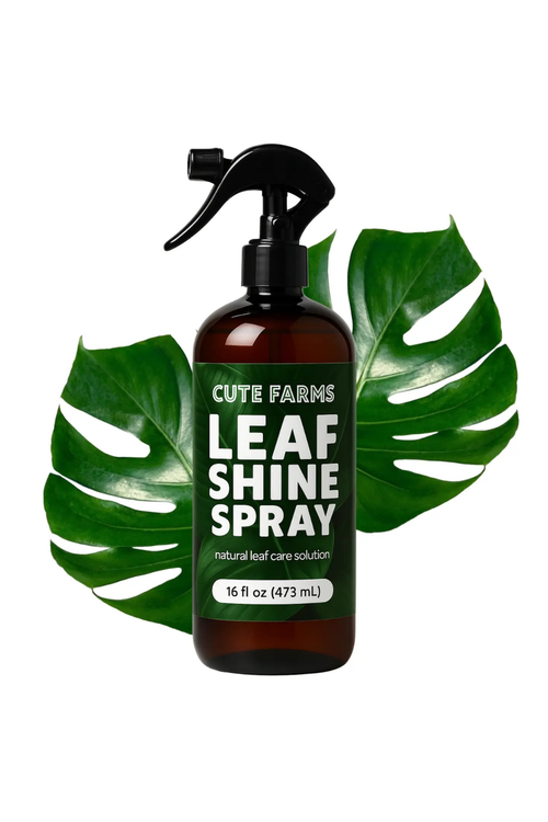 Leaf Shine Spray