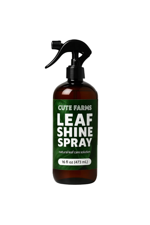 Leaf Shine Spray