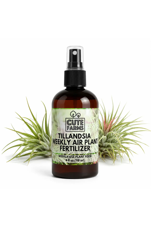 Tillandsia Weekly Air Plant Fertilizer