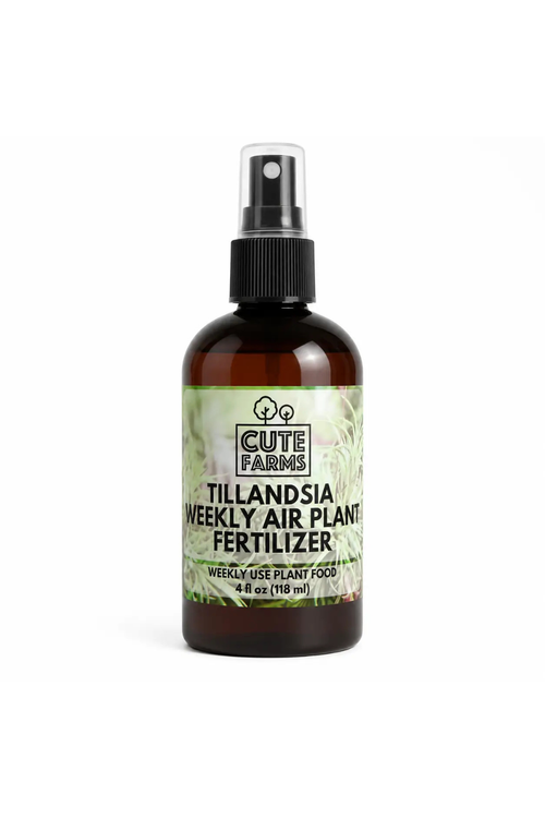 Tillandsia Weekly Air Plant Fertilizer