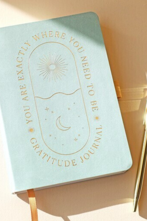 Where You Need To Be Gratitude Journal + Pen