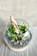 7 of 7:Custom Made Terrarium