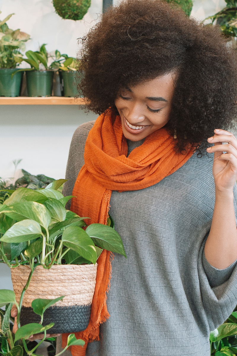 where can i donate my house plants EGC Plant Donation – ECOVIBE