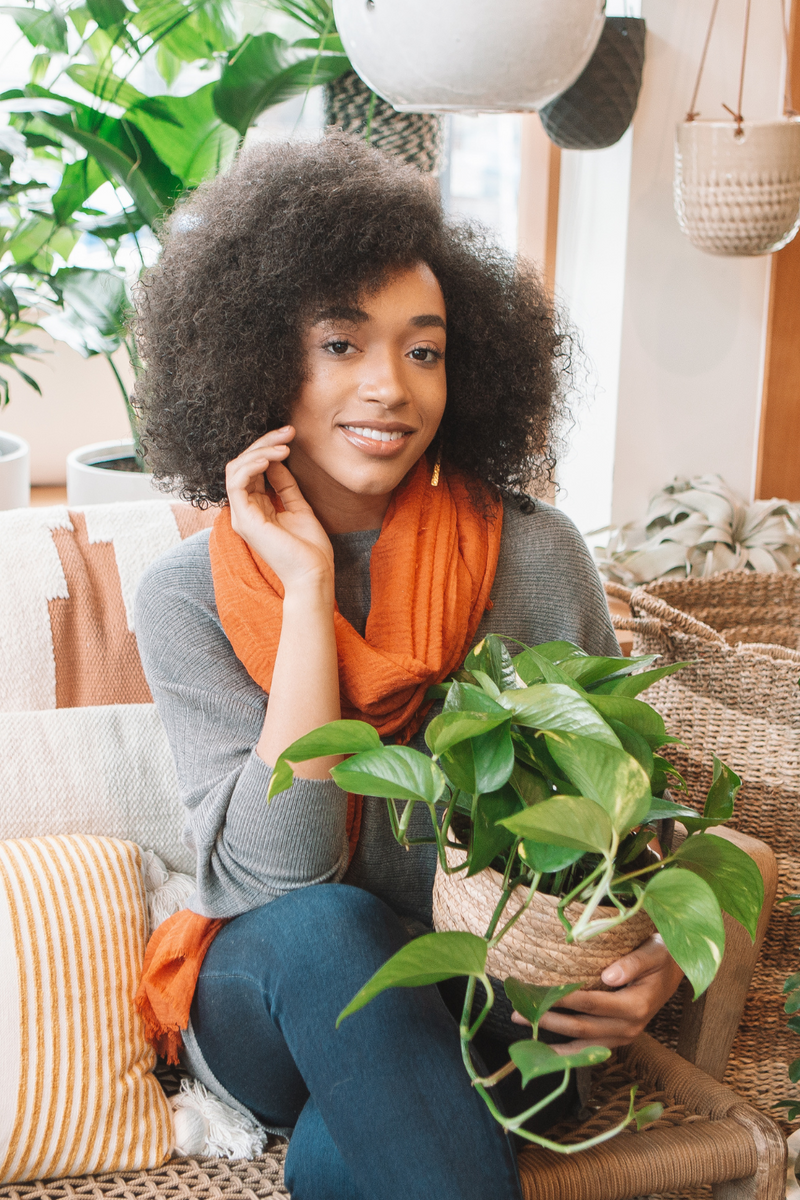 where can i donate my house plants EGC Plant Donation – ECOVIBE