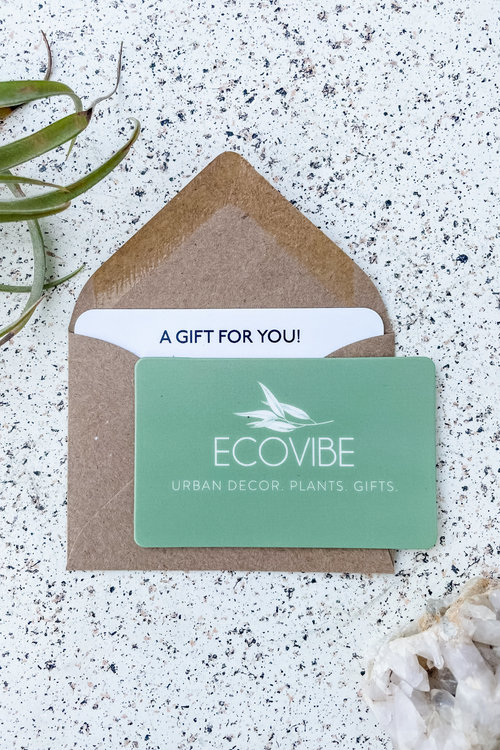 ECOVIBE Gift Card