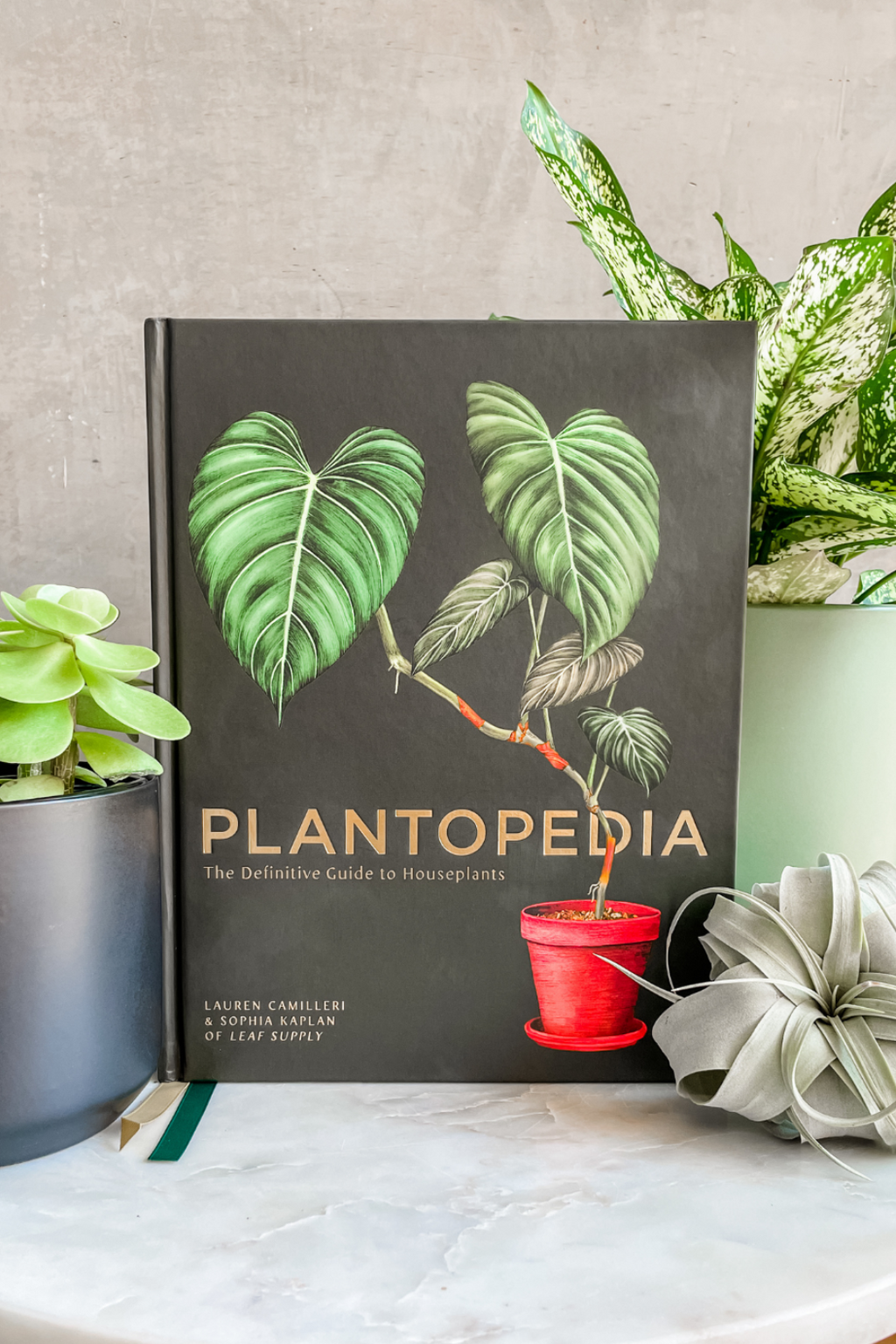 Gifts For The Plant Lover