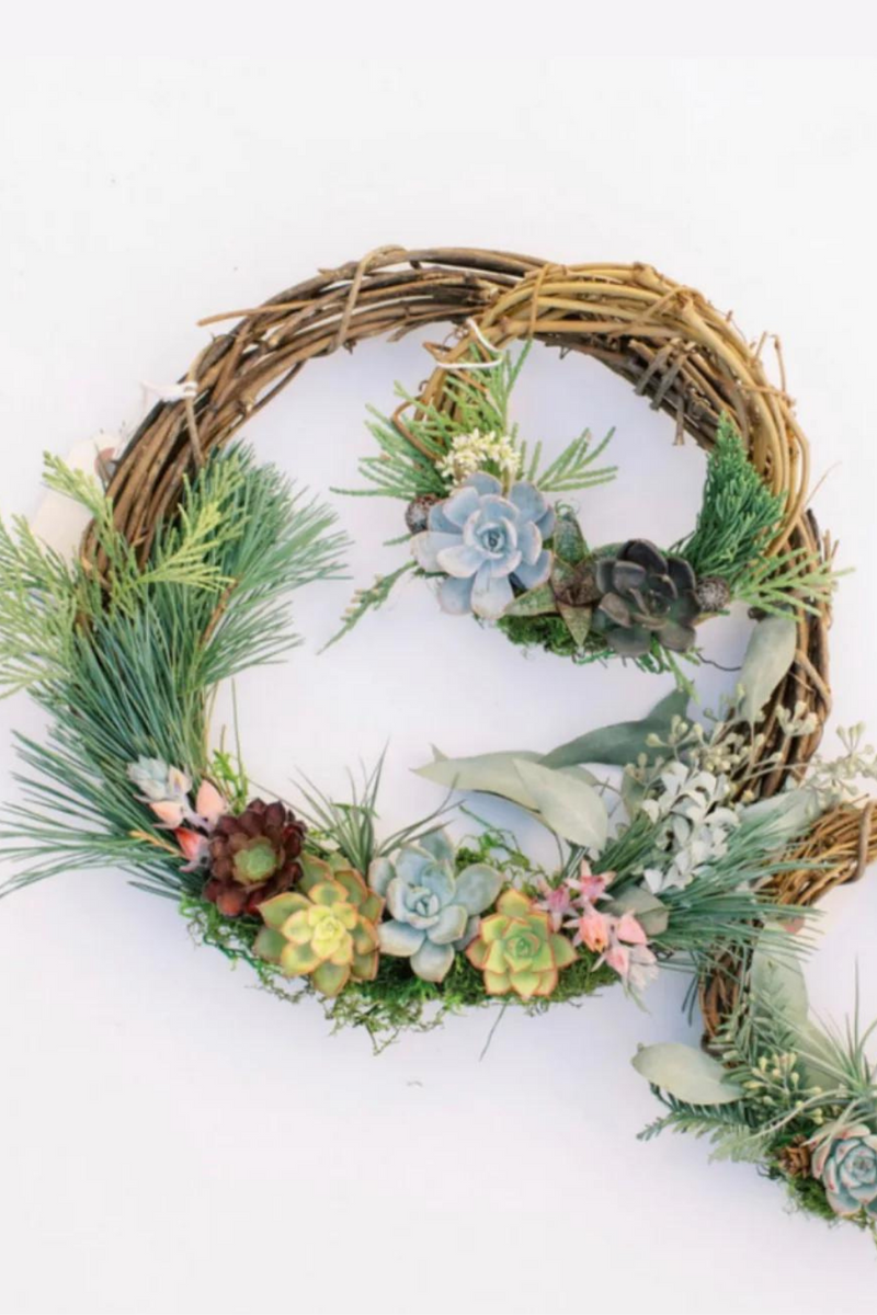 ECOVIBE-Holiday-Succulent-Wreath-Making-Workshop