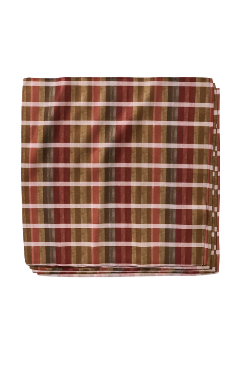 Geometry Dinner Napkin Set - Fall Harvest Stripes