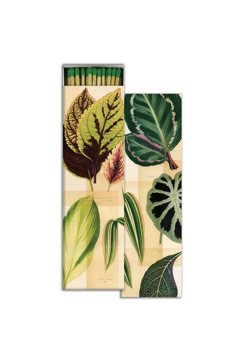 HomArt-Long-Boxed-Matches-Garden-Foliage