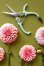 2 of 6:Jungle Club Pruning Shears