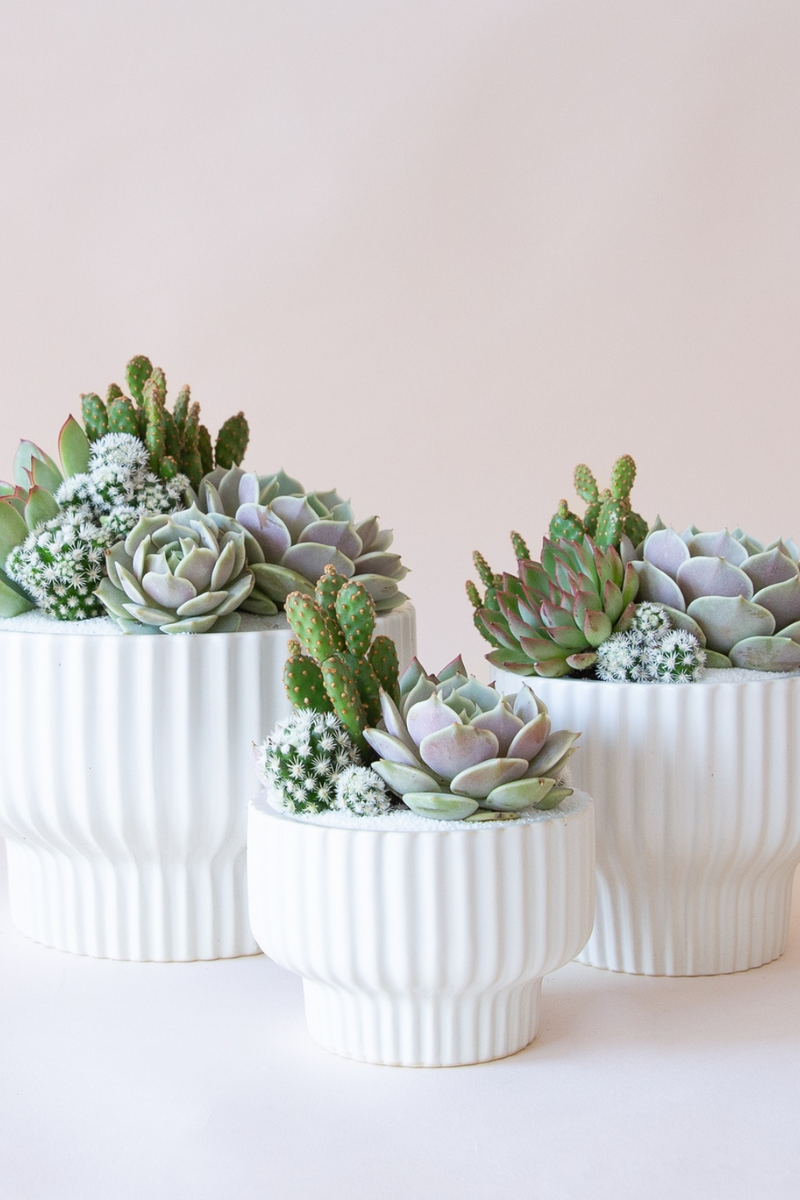 Presley Pedestal Pot in White