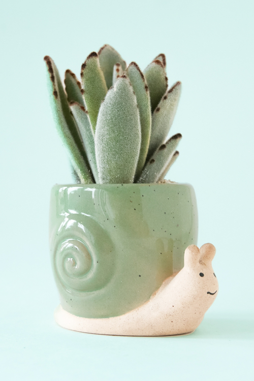 Sammy the Snail Planter
