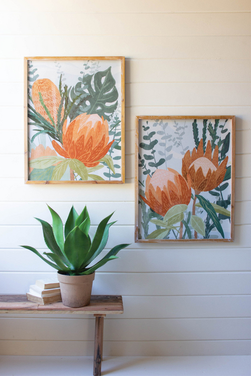      Kalalou-Protea-Botanical-Print-Wall-Art