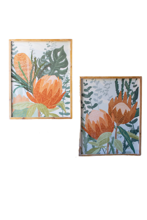 Kalalou-Protea-Botanical-Print-Wall-Art