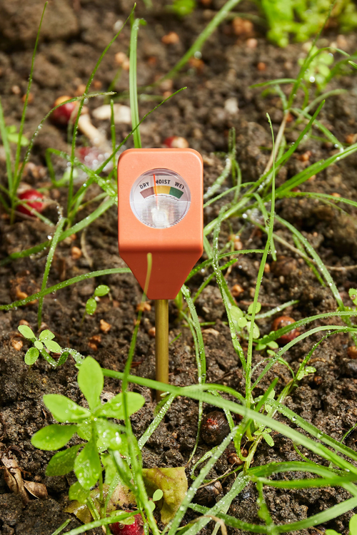Garden Hydrometer
