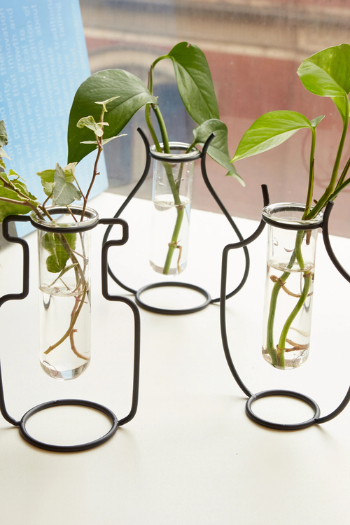 Geo Vase Propagation Station