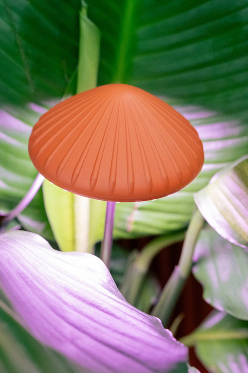 Mushroom Grow Light