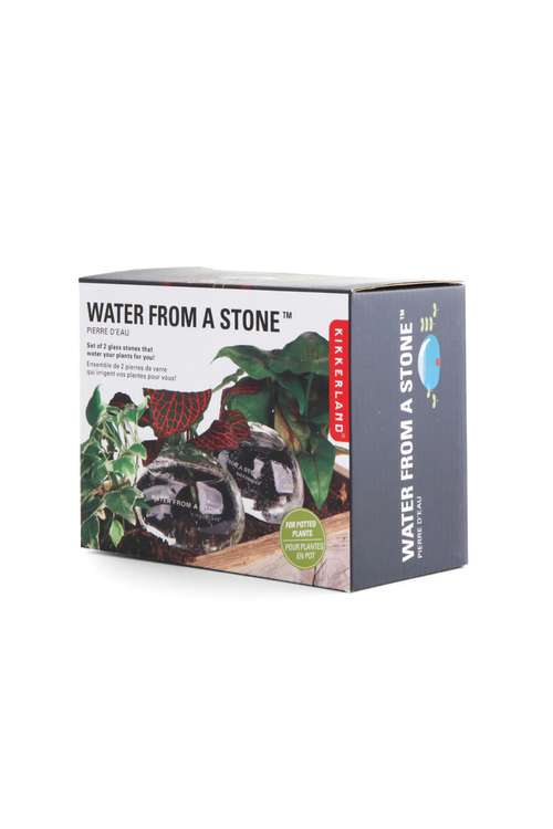 Water From A Stone