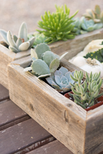 2 of 4:Reclaimed Wood Trough Planter