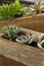 3 of 4:Reclaimed Wood Trough Planter