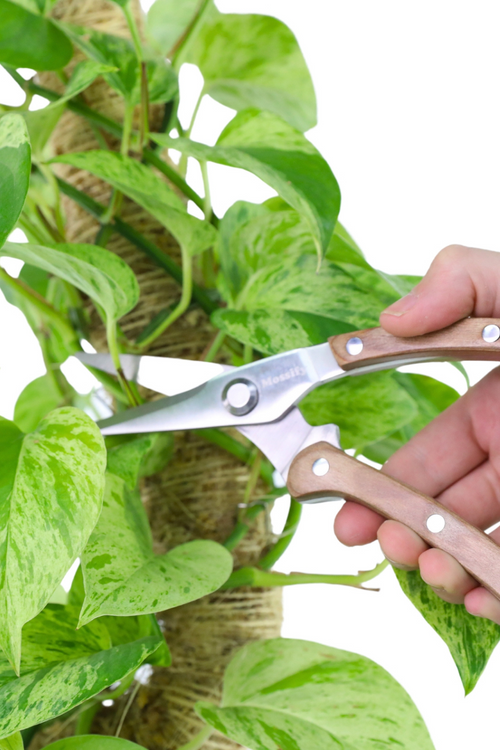 Mossify Slim Garden Utility Shears