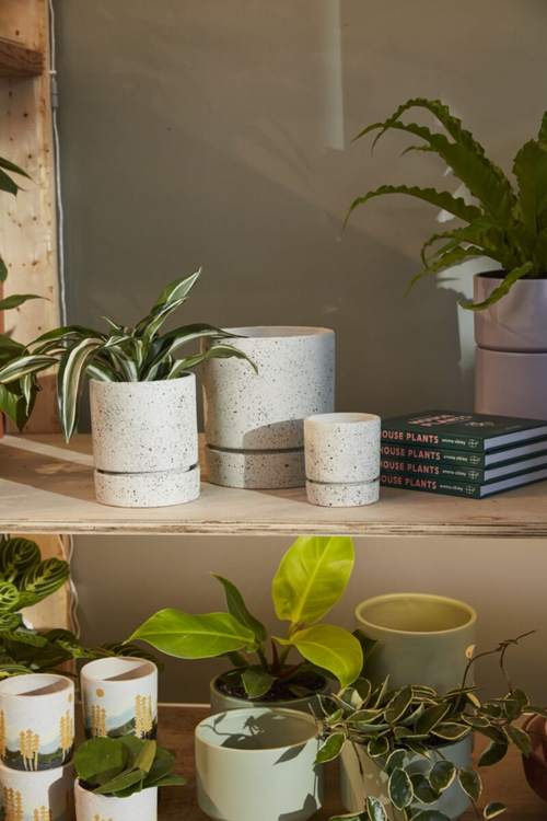 Nisha Ceramic Pot