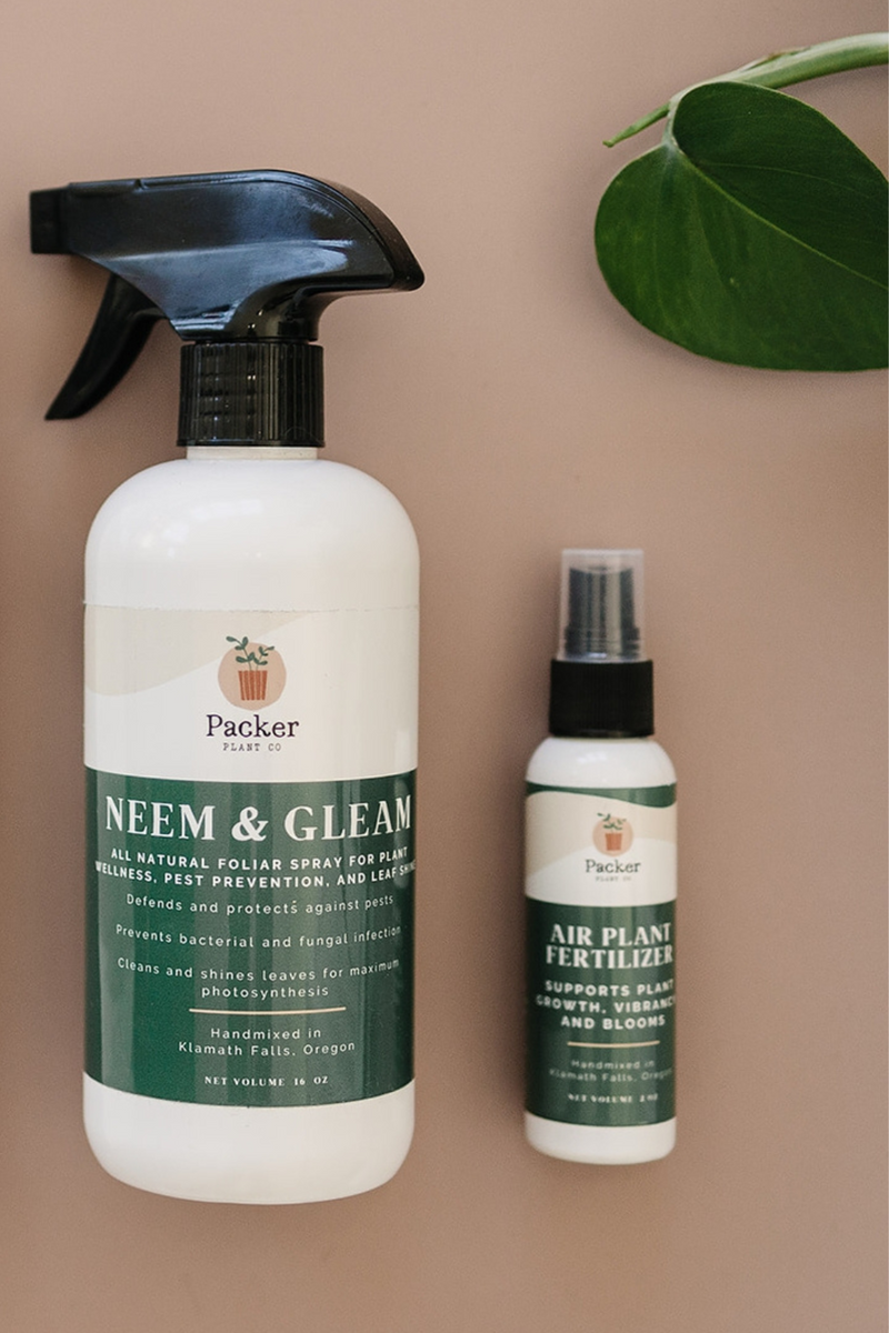 Packer-Plant-Co-Neem-and-Gleam