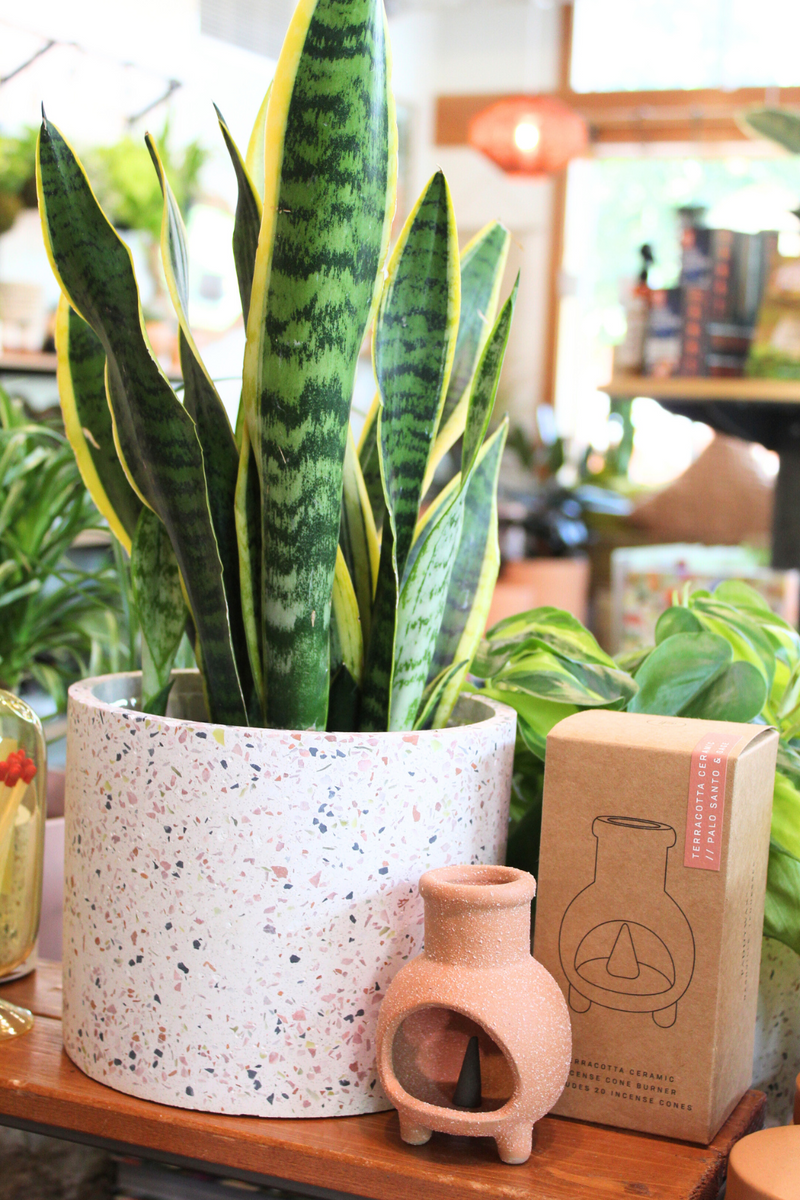 incense in plant pots Chiminea Incense Holder + Palo Santo Sage Cones – ECOVIBE