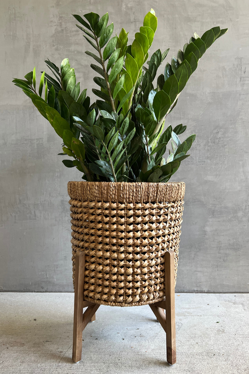 Creative Co-op Hand-Woven Seagrass Basket w/ Stand