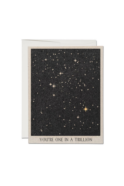 One in A Trillion Friendship Greeting Card