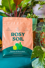 2 of 4:Rosy Soil Cactus + Succulent Soil