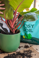 3 of 4:Rosy Soil Houseplant Soil