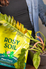 3 of 5:Rosy Soil Plant Food