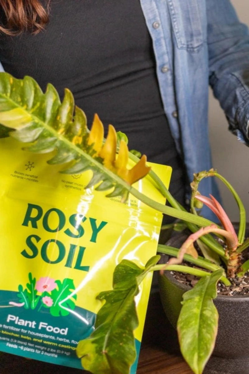 Rosy-Soil-Plant-Food-Soil