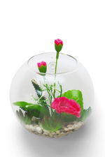 1 of 2:Semisphere Glass Wall Hanging Terrarium