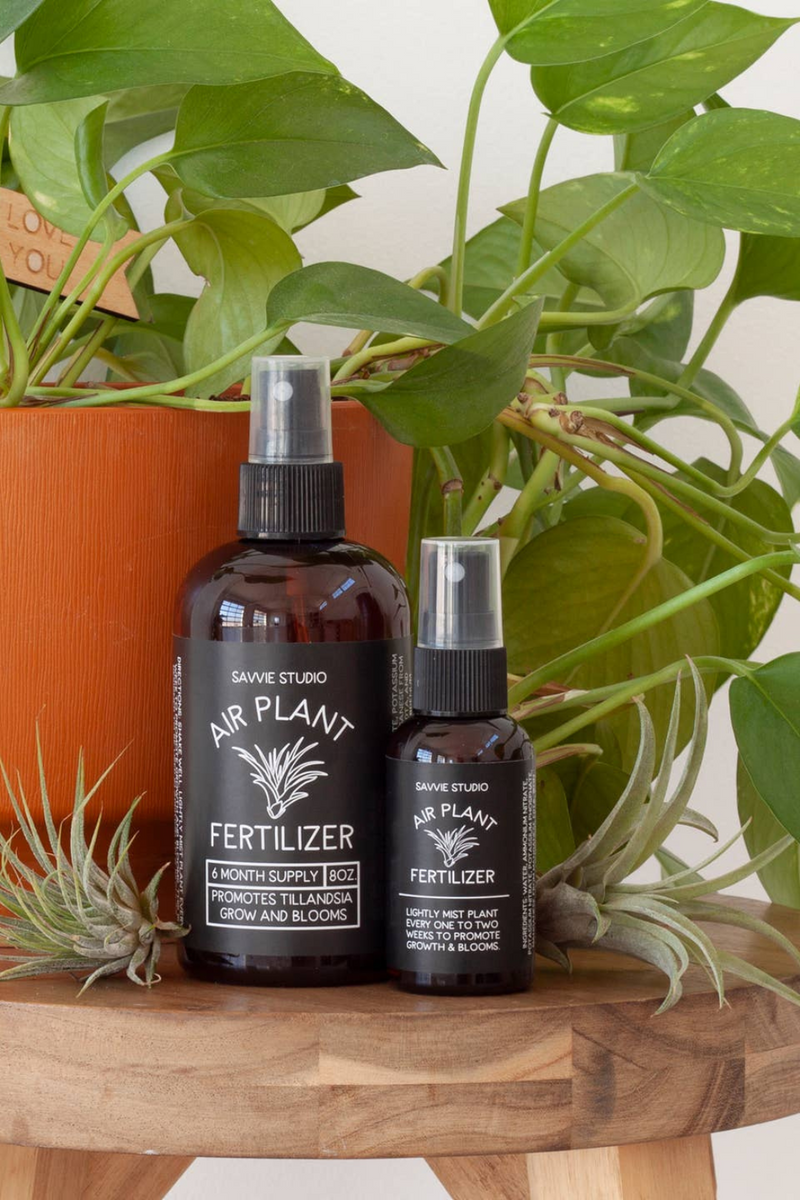 Savvie-Studio-Air-Plant-Fertilizer