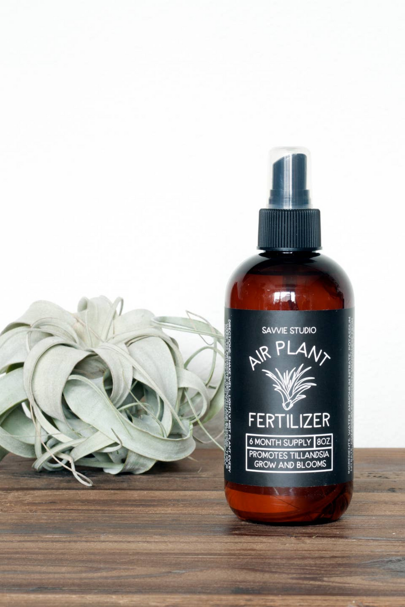 Savvie-Studio-Air-Plant-Fertilizer