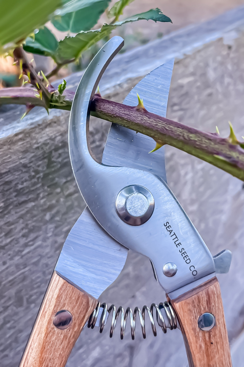 Wood-Handled Bypass Pruners