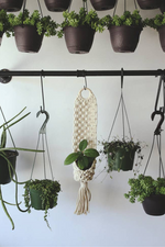 2 of 2:Albany Wall Plant Hanger