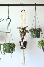 2 of 2:Toronto Wall Plant Hanger