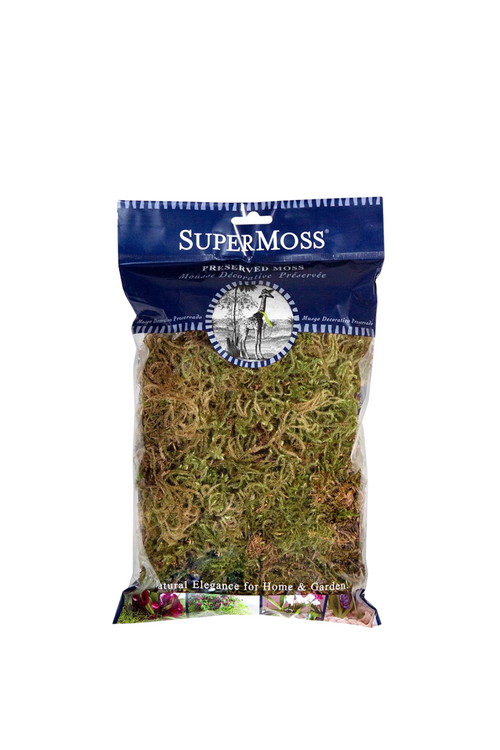 Forest Moss Preserved, Dried Natural