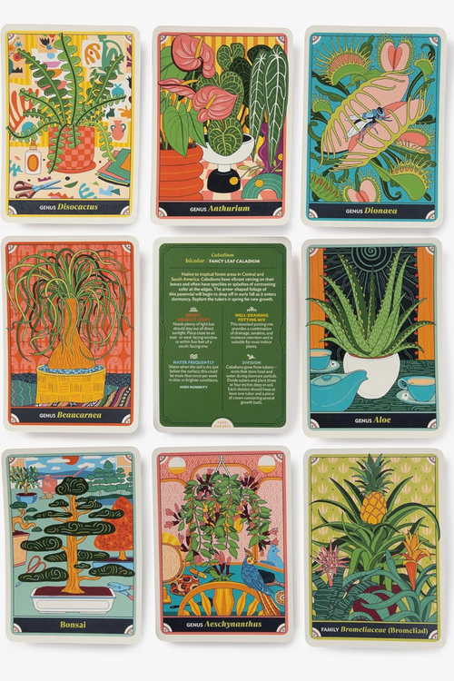 The Happy Houseplant Deck