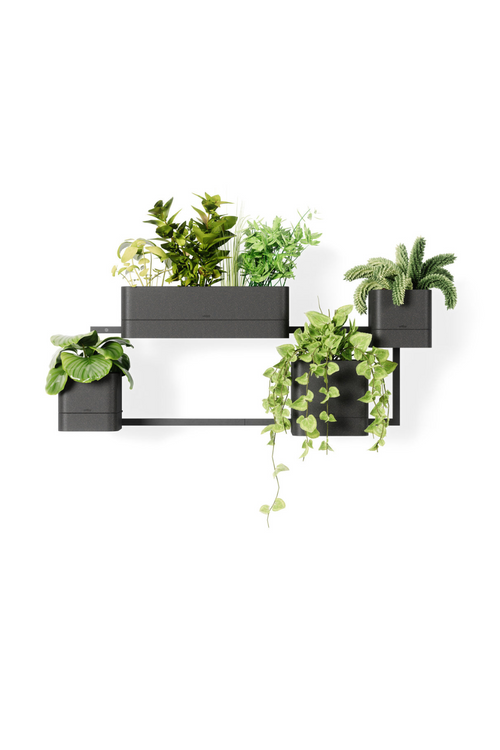 Cubiko Wall Planter