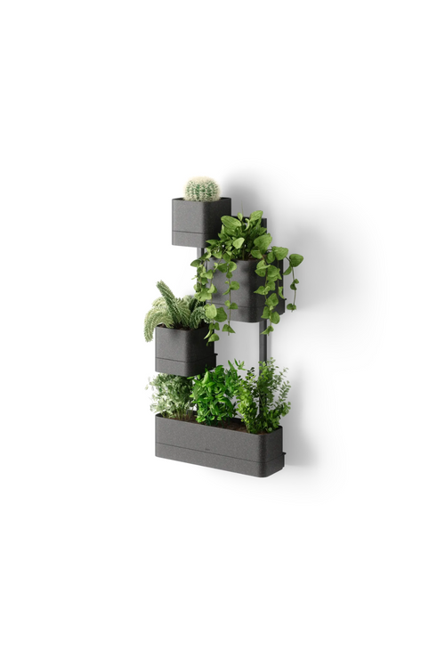 Cubiko Wall Planter