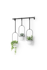 3 of 5:Triflora Hanging Planter