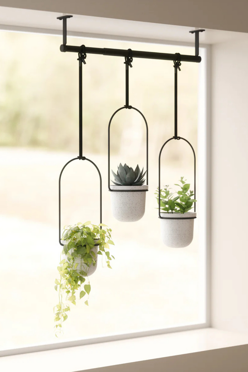 Triflora Hanging Planter