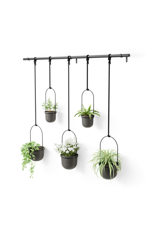 Triflora Hanging Planter